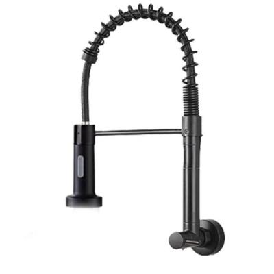 Torneira de Cozinha Torneira Gourmet 52 cm Malibu Água Fria de Bancada em Latão Cromado Preto OEM