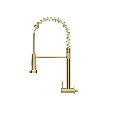 Torneira de Cozinha Gourmet Monocomando Parede Plástico ABS Cromado Preto Prata Dourado com Bica