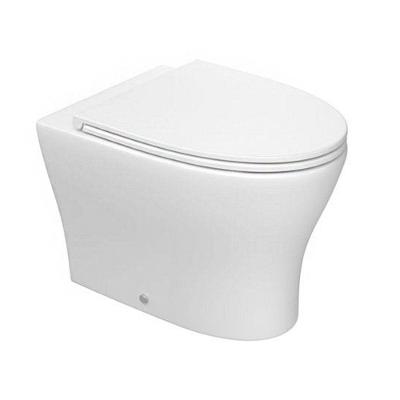 Vaso Sanitário Convencional Deca Level Total Clean Kp.8510.17 Branco