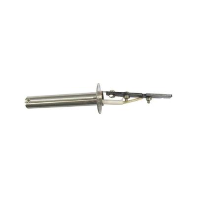 Resistencia Hikari Hplus Sc-40 W 220V Com 2 Pecas
