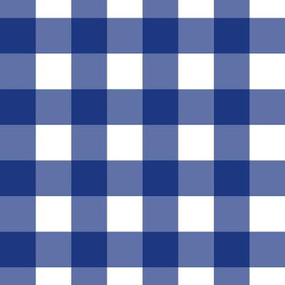 Papel De Parede Doce Estilo Xadrez Azul 82021
