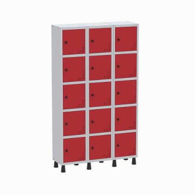 Roupeiro Aço Linha Light 15 Portas - Gr303-15 Cinza-vermelho