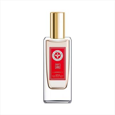 Perfume Brand Collection 289 Eau de Parfum Unissex Elegante para Presente e Uso Diário 30ML