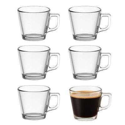 Jogo 6 Xícara De Café De Vidro Básica Turin 90ml Em Casa Tem