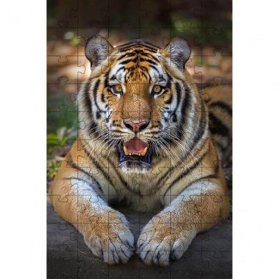 Quebra-cabeças Educativo 3 Grandes Felinos Inclusivo e Inteligente de 60 Peças para Idosos Coleção