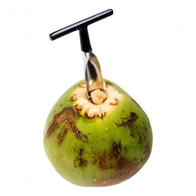 Abridor de Coco Abridor Furador em Aço Inox Praticidade Profissional para Furar e Abrir com Cabo