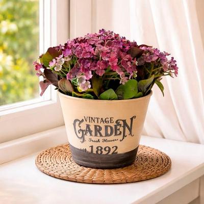 Arranjo de Planta Artificial Decorativa para Mesa e Ambientes Jardim 15cm Roxo