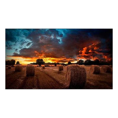 Monitor Profissional Samsung VMB-U LH55VMBUBGBXZD 55" Full HD IPS para Vídeowall Preto