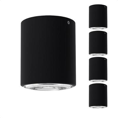 Kit 5 Spots de Sobrepor Redondo Cannon Par30 20W Preto Bivolt Taschibra