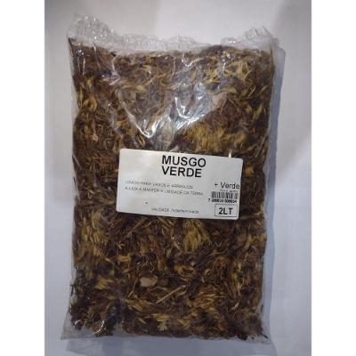 Musgo Verde Natural 2L para Arranjos e Montagem de Decoração Floral Mais Verde