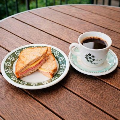 Jogo para Café Lanche e Sobremesa Donna Bosque 16 Peças Cerâmica Floral Verde Biona