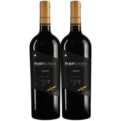Kit 2 Garrafas Vinho Tinto Chile Kinast Family Wines Paso de Los Andes Carmenere 750ML