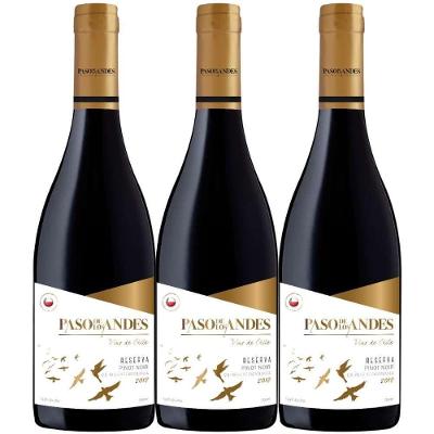 Kit 3 Garrafas Vinho Tinto Chile Kinast Family Wines Paso de Los Andes Pinot Noir 750ML