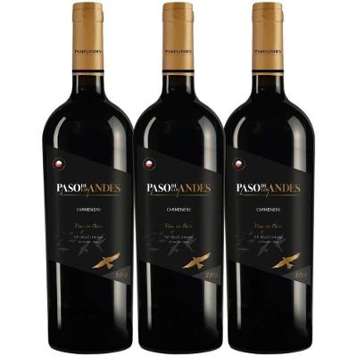 Kit 3 Garrafas Vinho Tinto Chile Kinast Family Wines Paso de Los Andes Carmenere 750ML