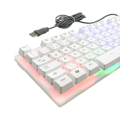 Teclado Gamer Evus Tc-10w Candy Abnt2 com Iluminação em Led Rainbow e Teclas Multimídia