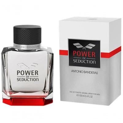 Perfume Power Of Seduction Masculino Eau de Toilette 100ML Antonio Banderas