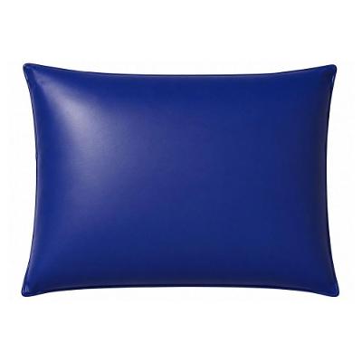 Travesseiro Espuma Hospitalar Ortobom Impermeável Azul 40x60CM