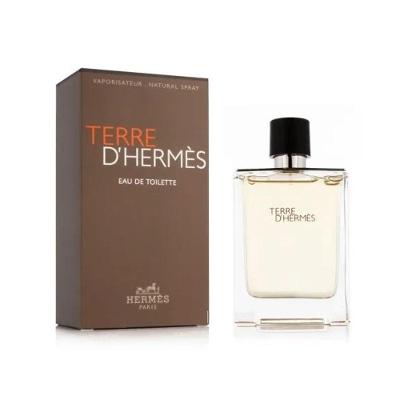 Perfume Terre D'Hermès Masculino Eau de Toilette 100ML Hermès Paris