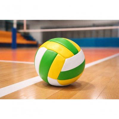Bola de Vôlei Infantil 63cm em Vinil para Recreação DDG Plásticos