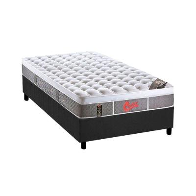 Cama Box Solteiro Pocket Light Plush Molas Ensacadas Euro Pillow Cinza Castor