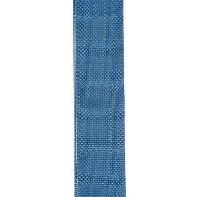 Correia para Instrumento PWS102 de Polipropileno Azul D'Addario