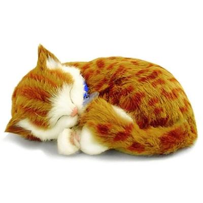 Pelúcia Eletrônica Perfect Petzzz Filhote Gato Orange Tabby Imex