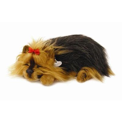 Pet Eletrônico Filhote Yorkshire Respiração Realista Perfect Petzzz Imex