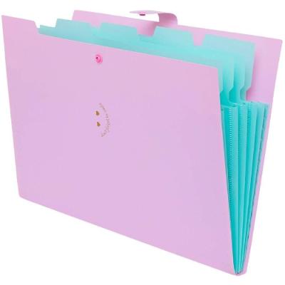 Pasta Sanfonada Polibras Plástica A4 5 Divisórias Rosa Pastel