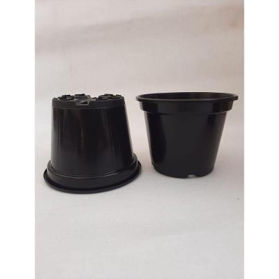 Vaso para Plantas Pote 15 Kit com 10 para Mudas Plástico Reforçado Preto Mais Verde