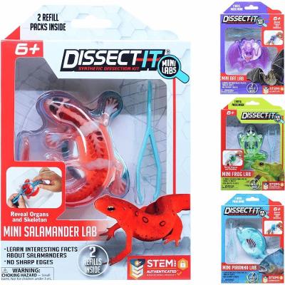 Kit de Dissecação Mini Lab Dissect-it com Lupa Verde Candide
