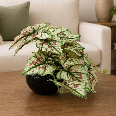 Planta Jiboia Artificial com Vaso Decorativo Branco Mesclado 17cm
