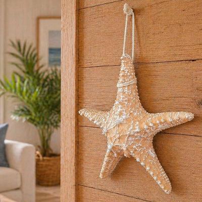 Estrela do Mar Decorativa de Parede 22cm Náutico Rústico Areia