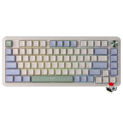 Teclado Gamer Mecânico K673CPG-RGB-PRO Wireless RGB Branco Redragon