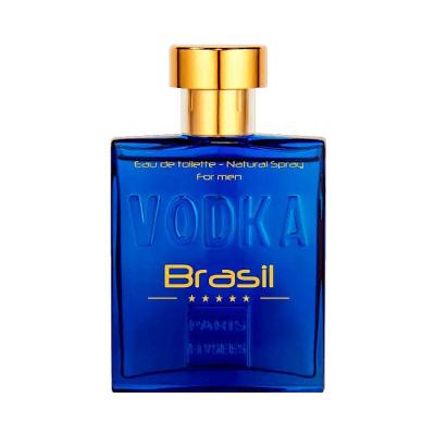 Perfume Vodka Brasil Blue Masculino Eau de Toilette 100ML Paris Elysees