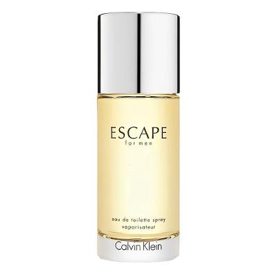 Perfume Escape Masculino EDT Aromática Verde 100ML Calvin Klein