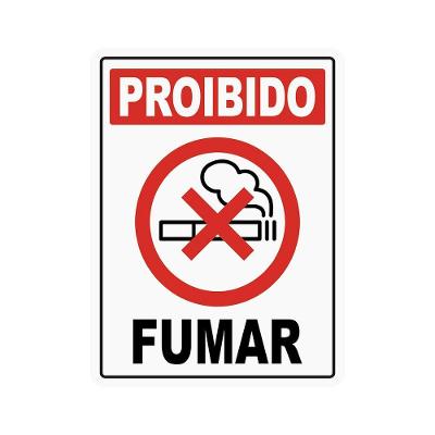 Adesivo Proibido Fumar Vinil Automotivo Brilho 20x15cm Teu Adesivo