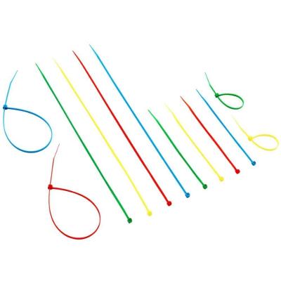 Abraçadeira de Nylon Colormix 2,5x200mm 50 Unidades 7308 Brasfort