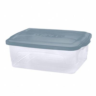 Caixa Organizadora 1504 com Tampa 12L Plástico Durável Giplás
