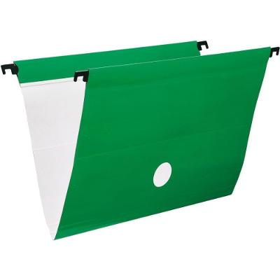 Pasta Suspensa Dello Delloplus Haste Plast Plastificada 275g-m2 Verde