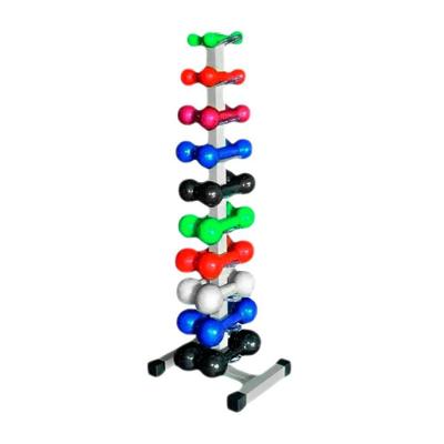 Suporte de Halteres Reto SHR10PA 10 Pares Aço Pintado Anilhas Fitness