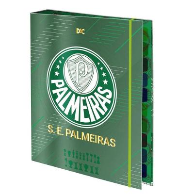 Caderno Argolado Fichário DAC A4 48 Folhas 10 Divisórias Verde