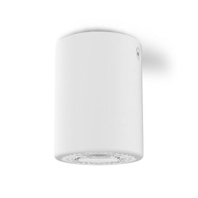 Spot de Sobrepor Cannon MR16 15W 6500K Branco Frio Bivolt Alumínio Taschibra