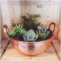 Tachinho Mini De Cobre Puro Servir E Decorar Com Alças 14Cm. - 2