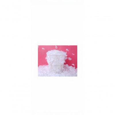 Flor Artificial Decorativa Kit 1000 Pétalas para Decoração de Eventos Branco Tudo em Caixa
