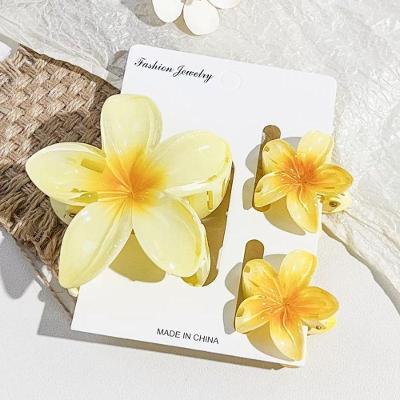 Kit Acessório de Cabelo 3 Piranhas Flor Feriado de Praia Grande e Pequena Amarelo OEM