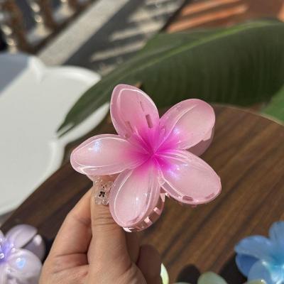 Grampo de Cabelo OEM Frangipani Transparente Coreano Liga Metálica 8 cm Rosa para Mulheres