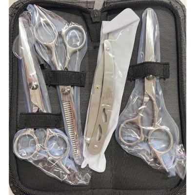 Kit de Tesouras Profissionais Kit 3 Fio Navalha Desfiadeira para Repicados e Volume Prata OEM