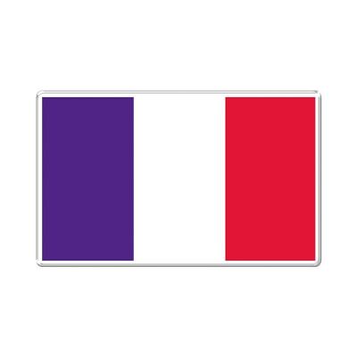 Adesivo Decorativo Em Relevo Fácil Aplicação Bandeira França Cor Branco