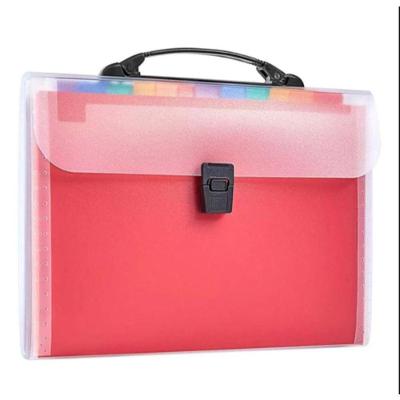 Pasta Arquivo Organizadora Expansível OEM Modelo 12 Bolsos com Etiquetas 33x23 e 5cm 1 Unidade