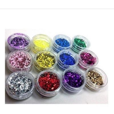 Glitter para Unhas Kit com 12 Cores Flocado para Decoração Nail Art em Diversas Tonalidades OEM
